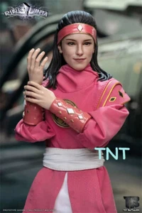 In Hand! New TOYS BATTALION 1/6 TB018 1/6 Pink Ninja 12" Figure Action - Picture 1 of 10