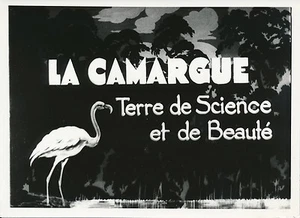 CAMARGUE c.1940 - Photo Montage Bouches-du-Rhône - P 950 - Picture 1 of 1