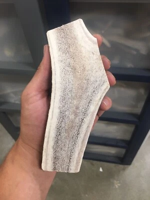 Huge JUMBO MAGNUM Split Prime Chews Elk Antler Dog Chew SALE Large XXL (1 Ea)