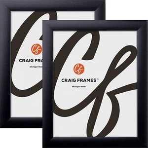 Craig Frames 1" Wide Black Picture Frames, Uncommon Sizes 4x9-17x33, 2-Pack - Picture 1 of 9