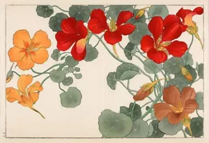 Nasturtium : Tanigami Konan : 1917 : Art Print to Frame - Picture 1 of 2