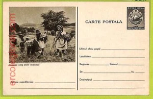 af9867 - Romania - POSTAL HISTORY - Postal Stationery Card - MEDICINE Chemist - Picture 1 of 1