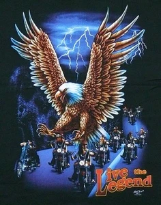 Camiseta Adler Wölfe, talla S, M, Biker Triker, Seaadler Indianer, Wolf Truck Eagle - Imagen 1 de 2