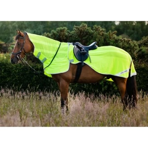 Amigo Flyrider Rug - Picture 1 of 7