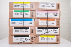 Tinta Epson Pro 4900 genuina 200 ml (lote de 10 paquetes caducados) - Imagen 1 de 2