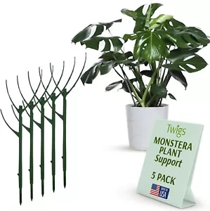 Stackable Monstera Plant Support Stakes, Climbing Plants Support Structures - Picture 1 of 6