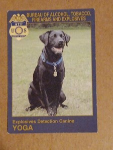 Philadelphia 76ers Baseball Card K9 Yoga Security 