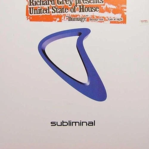 The Richard Grey Presents United State Of House Damage (Vinyl) - Image 1 of 1