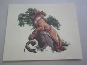 Wholesale Lot of 25 Old Wildlife PRINTS MOUNTAIN LION - Fred Sweney - Embossed - Bild 1 von 1