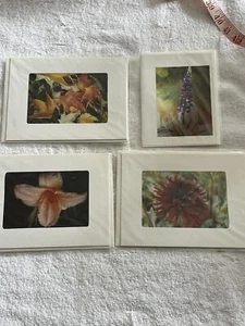 Terry Clark 4 tarjetas en blanco de hermosas fotografías flores lirios - Imagen 1 de 9