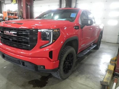 2023 Sierra 1500 Elevation Front Driver Seat Belt — 第 1/4 张图片