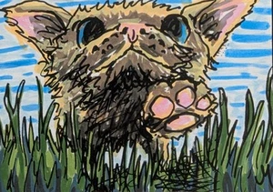 ACEO Cat Painting Original Kittens Play Contemporary Folk Art By Josh Merritt - Picture 1 of 1