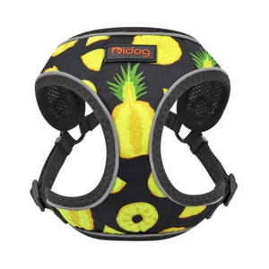 Cute Dog Harness Reflective Soft Mesh Cat Pet Vest Small Medium Jack Russell Pug - Picture 1 of 15