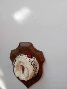 vagin objet érotique art populaire os - cabinet de curoisité - vulve - Imagen 1 de 4
