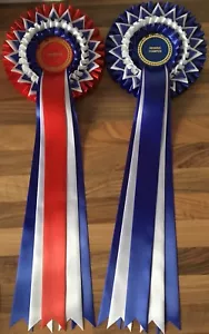 Champion & Reserve Champion Rosettes With 5, 18inch Tails FREE POSTAGE - Picture 1 of 2