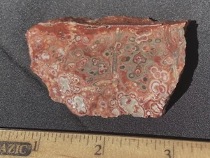 LEOPARD SKULL ORBICULAR JASPER STRIKING UN POLISHED ROUGH 40 GRAMS - Picture 1 of 9