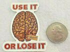 Use It Or Lose It Brain Sticker Decal Multicolor Advice Embellishment Awesome 
