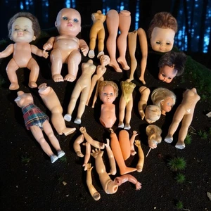 Lotto 31 Pezzi Zombie Bambole Parti Testa Corpi Braccia Gambe Artigianato Halloween Decorazione Fai da Te - Foto 1 di 21