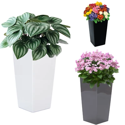 Pflanztopf Hoch Eckig Hochglanz Pflanzkübel Einsatz Blumentopf bis 75 cm Modern - Bild 1 von 4