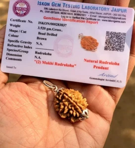 Colgante de plata 925 con certificación de laboratorio + 2 caras Mukhi RUDRAKSHA Rudraksh, original - Imagen 1 de 3