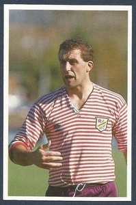 A QUESTION OF SPORT-ENGLAND-RUGBY UNION-WADE DOOLEY - Picture 1 of 1
