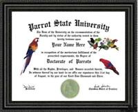 Parrot Lover's Doctorate Diploma / Degree Custom made & Designed for you UNIQUE