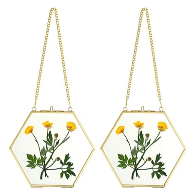 Set of 2 Hexagon Wall Hanging Brass Frames for Pressed Flowers, Golden Glass ... - Image 1 of 4