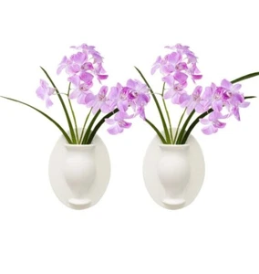 Wall Hanging Planter Vase, Planter Pots, Silica Gel Adsorption Hanging Planter - Picture 1 of 8