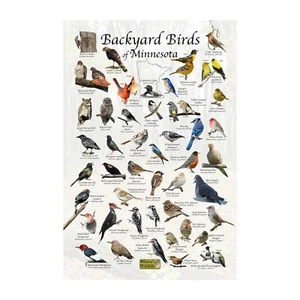 Guía de campo de observación de aves/aves de patio trasero de Minnesota identificación de aves - Imagen 1 de 6