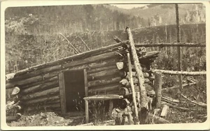 RPPC Log Cabin Ruin on a Burned Mountain in Montana Real Photo Postcard - Picture 1 of 2