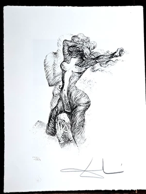 Salvador Dali Lithographie Offset 50x65 cm - Bild 1 von 2
