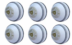 CW SPIN INCREDIBLE PVC POLY SOFT PRACTICE CRICKET BALL FOR ALL AGE PLAYER- 6 PC - Picture 1 of 4