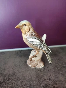 Goebel Buchfink ,Vogel 1973 Porzellan - Bild 1 von 4