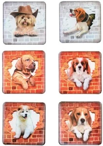 Morcart Kühlschrankmagnete niedlicher Hund 3D quadratisches Muster 6er Set - Bild 1 von 7
