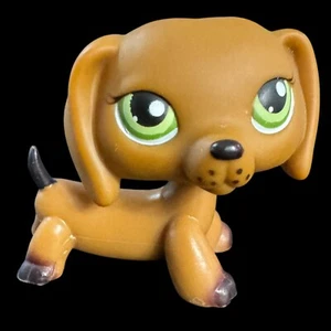 Littlest Pet Shop #139 Brown Dachshund Dog Green Eyes Authentic LPS 2005 - Picture 1 of 12