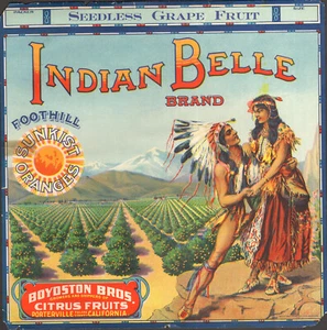 *Original*  INDIAN BELLE Porterville SUNBURST Grape Fruit Crate Label NOT A COPY - Picture 1 of 2