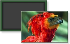 Harry Potter Fawkes Phoenix Bird Magical Creature Refrigerator Magnet 2 x 3 - Picture 1 of 9