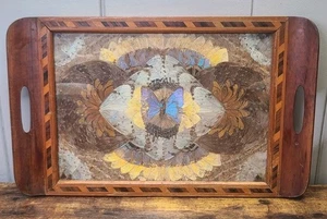Butterfly Wing Wood Inlay Serving Tray Real Deco Art Iridescent Brazil Vintage - Picture 1 of 15