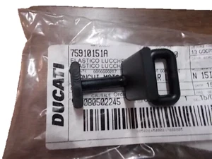 Ducati 75910151A ST2 ST3 ST4 Under Seat Elastic - Picture 1 of 4