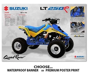 Suzuki Quadracer LT 250R 1991 cartel folleto calcomanía artística lt250R 250 - Imagen 1 de 3