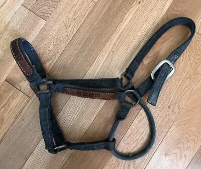 WPCAC Achievement 2001 Green Cob Size Halter - Image 1 of 4