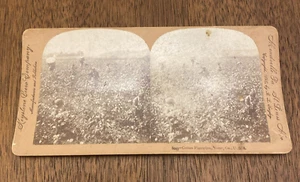 Tarjetas Macon Georgia GA Cotton Plantation Stereoview KEYSTONE VIEW CO antiguas - Imagen 1 de 5