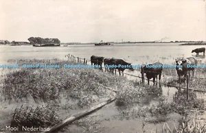 R378091 Mooi Nederland Jo Polanus RP - Picture 1 of 4