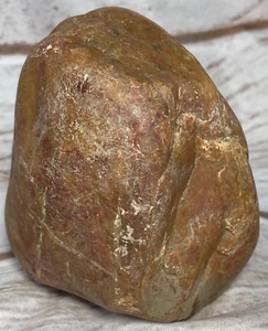 Petrified Wood Natural Rough from Montana USA ~4"x3"x2" 1 lb 12.6 oz #806 - Picture 1 of 12