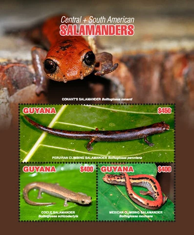 Guyana 2018 - Salamanders - Sheet of 3v - Scott 4573 - MNH Cover
