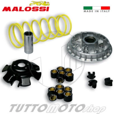 MALOSSI 5113892 VARIATORE MULTIVAR 2000 KYMCO XCITING - XCITING R 300 ie 4T LC - Immagine 1 di 2