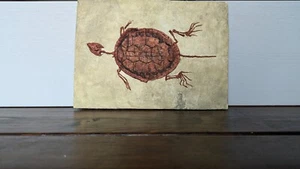 Turtle Fossil Replicas | Skull, Shell and Skeleton - Picture 1 of 5