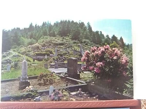 Vintage Postkarte. Historischer Friedhof in Ferndale California. - Bild 1 von 8