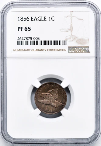 1856 FLYING EAGLE 1C NGC PR 65 Cover