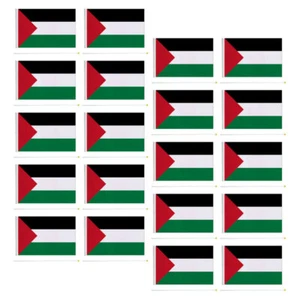 20 Pcs Hand Waving Flag Small Palestine Flags Palestinian Handheld - Imagen 1 de 12